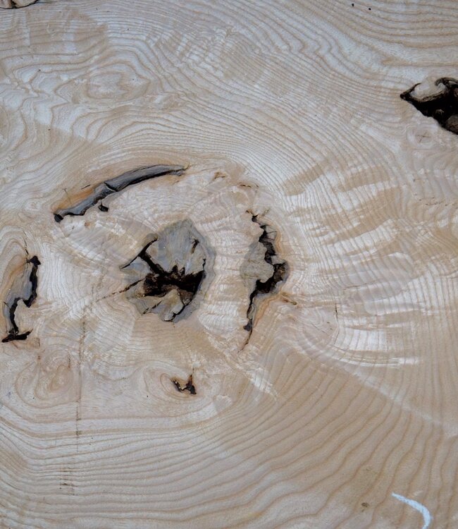 Esche Maser Tischplatte, ca. 2000 x 700/590/860 x 52 mm, 13531