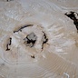 Ash Burl table top, approx. 2000 x 700/590/860 x 52 mm, 13531