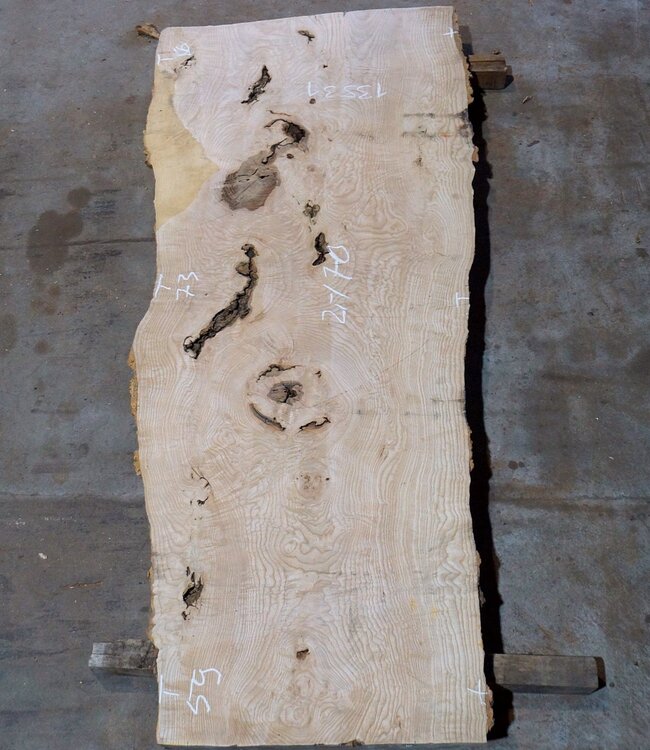 Esche Maser Tischplatte, ca. 2000 x 700/590/860 x 52 mm, 13531