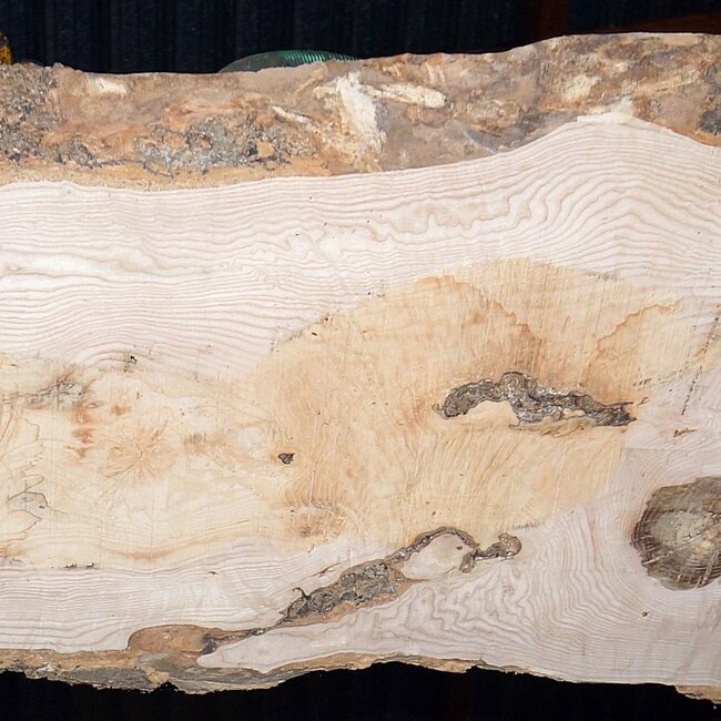 Ash Burl table top, approx. 2000 x 700/590/860 x 52 mm, 13531