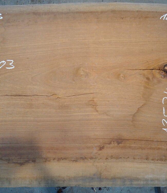 Eyeck Tischplatte, ca. 2600 x 1030 x 52 mm, 13534