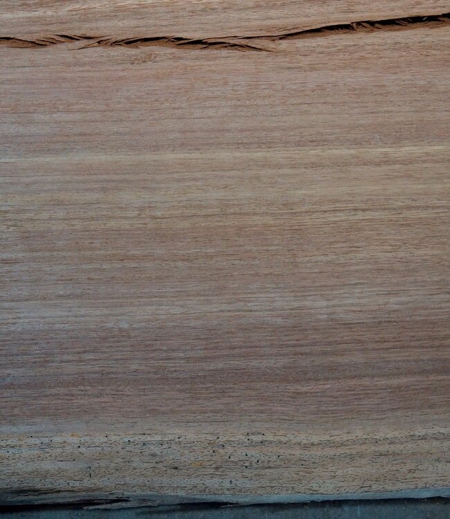 Eyeck Tischplatte, ca. 2600 x 1010/1030/970 x 48 mm, 13537