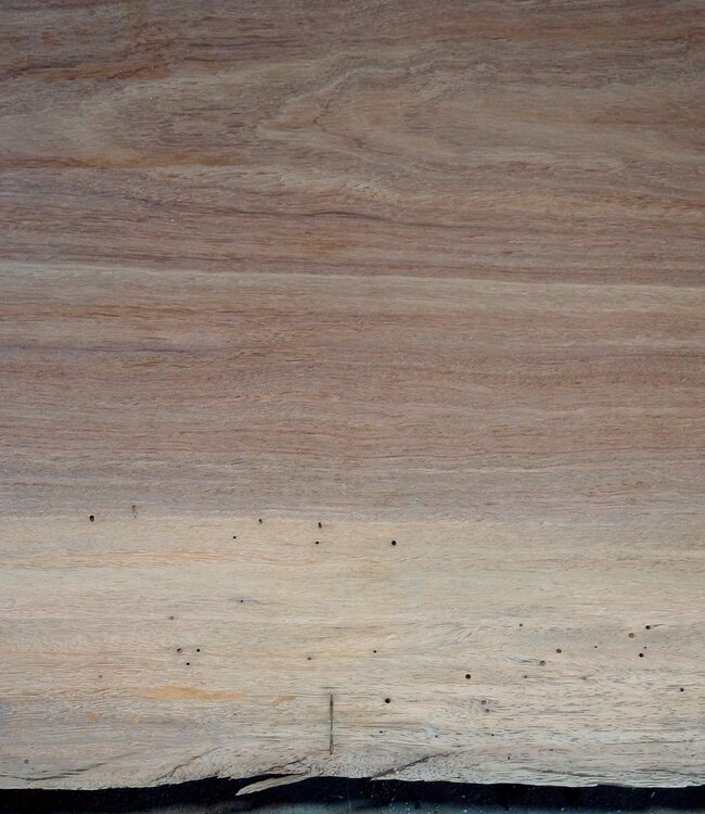 Eyeck Tischplatte, ca. 2600 x 730/810/810 x 48 mm, 13546