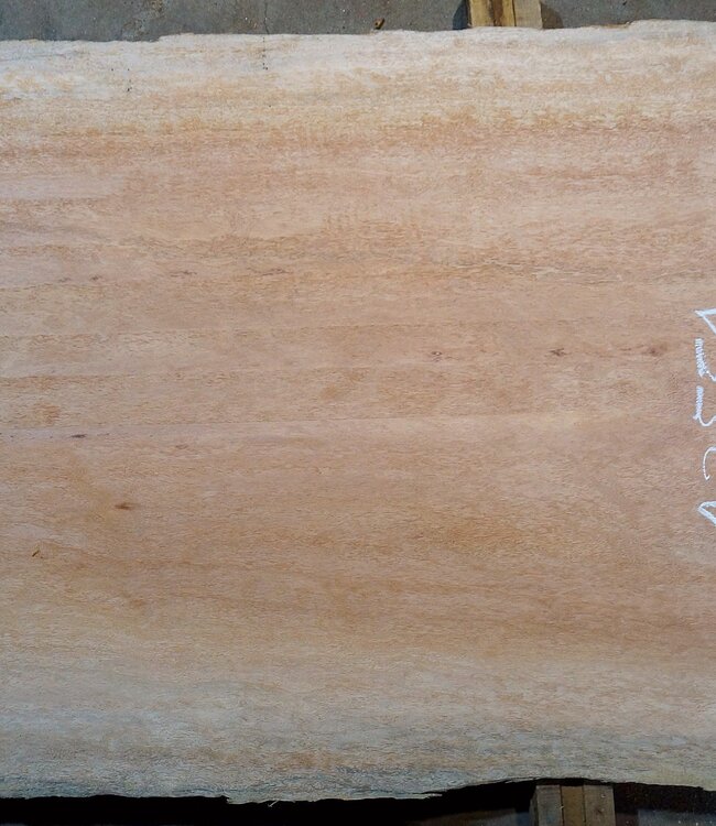 Bossé Tischplatte, ca. 2600 x 690/710/760 x 25 mm, 13551