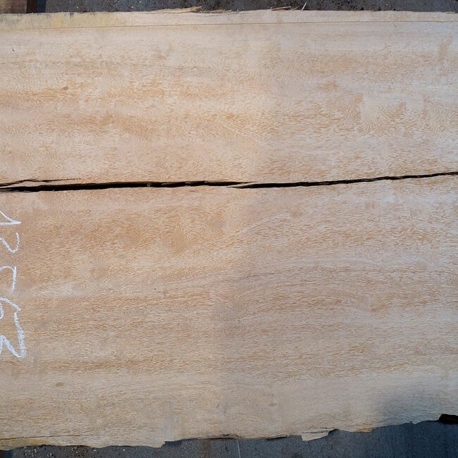 Bossé Tischplatte, ca. 2200 x 540/690/650 x 26 mm, 13553