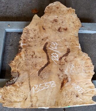Poplar burl slab, approx. 1200 x 630/980 x 65 mm, 13558