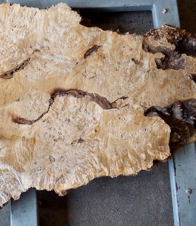 Pappel Maser Tischplatte, ca. 1200 x 630/980 x 65 mm, 13558