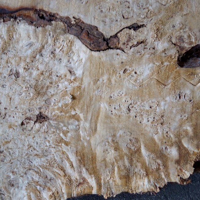 Poplar burl slab, approx. 1200 x 630/980 x 65 mm, 13558