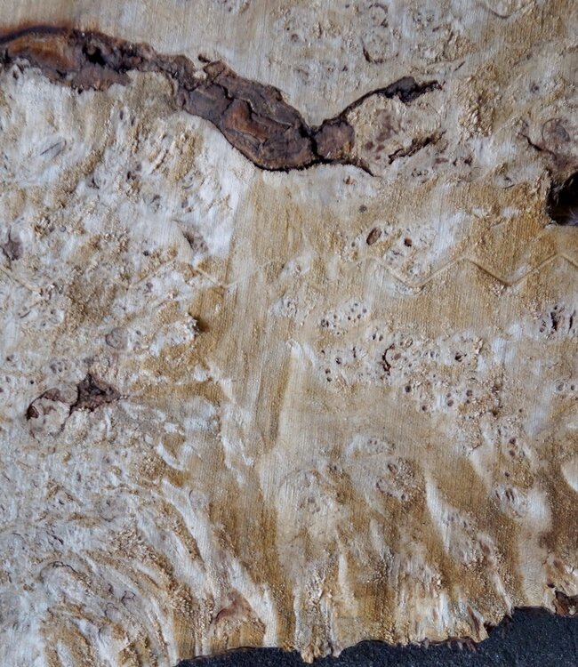 Pappel Maser Tischplatte, ca. 1200 x 630/980 x 65 mm, 13558