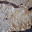 Poplar burl slab, approx. 1200 x 630/980 x 65 mm, 13558