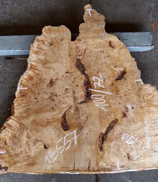 Poplar burl slab, approx. 1000 x 720/900 x 62 mm, 13557