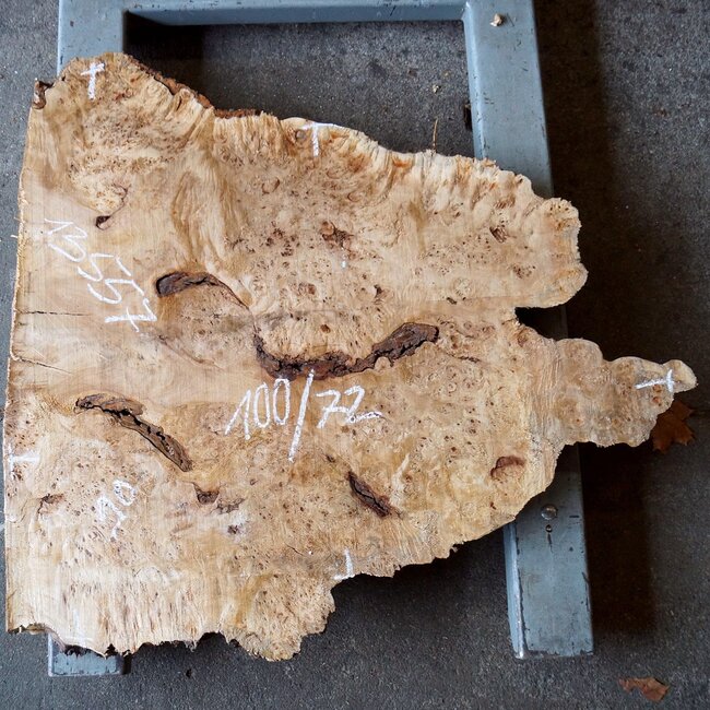 Poplar burl slab, approx. 1000 x 720/900 x 62 mm, 13557