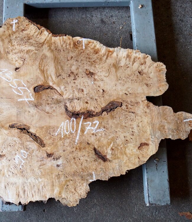 Pappel Maser Tischplatte, ca. 1000 x 720/900 x 62 mm, 13557