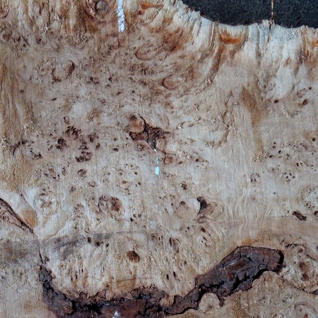 Poplar burl slab, approx. 1000 x 720/900 x 62 mm, 13557