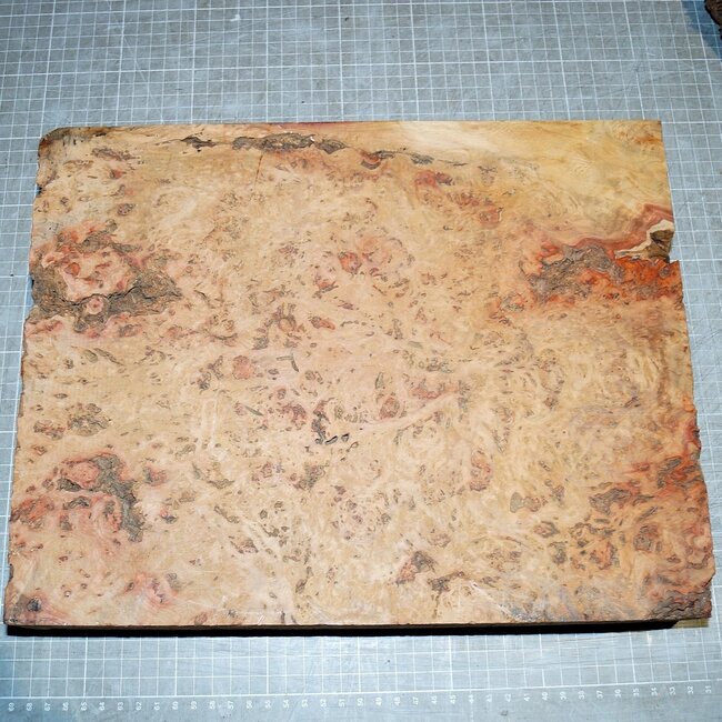 Amboina Maser, ca. 360 x 270 x 60 mm, 3,6 kg