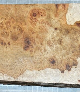 Amboina Maser, ca. 280 x 170/150 x 48 mm, 1,5 kg