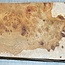 Amboyna burl, approx. 280 x 170/150 x 48 mm, 1,5 kg