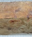 Amboina Maser, ca. 280 x 170/150 x 48 mm, 1,5 kg