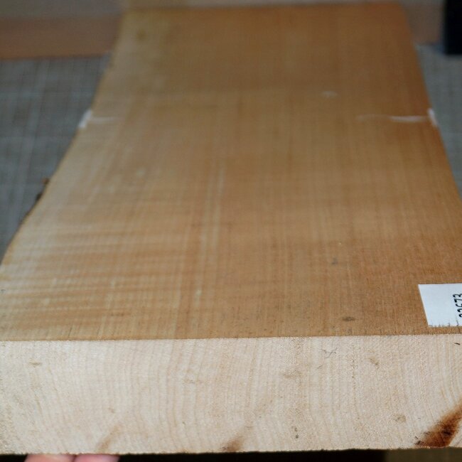 Maple, approx. 560 x 200 x 50mm, 3,6kg