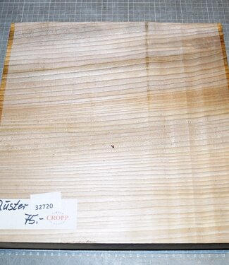 Rüster, ca. 330 x 330 x 79mm, 5,9kg