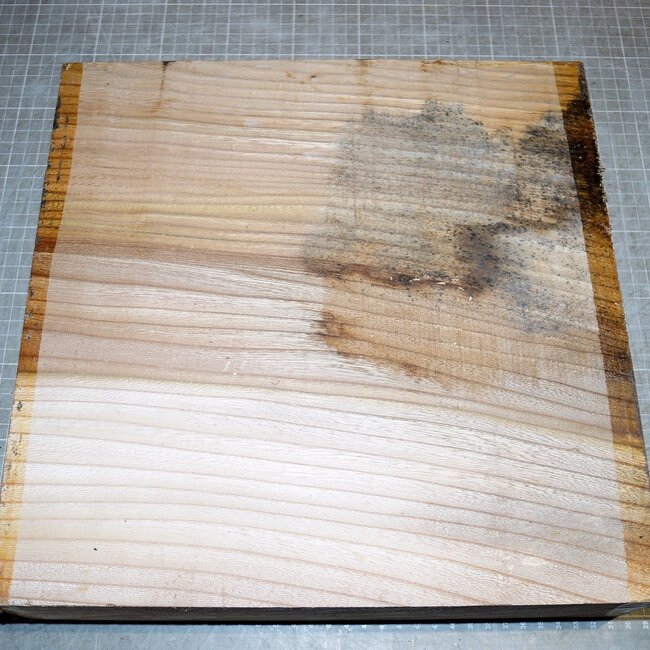 Rüster, ca. 330 x 330 x 79mm, 5,9kg