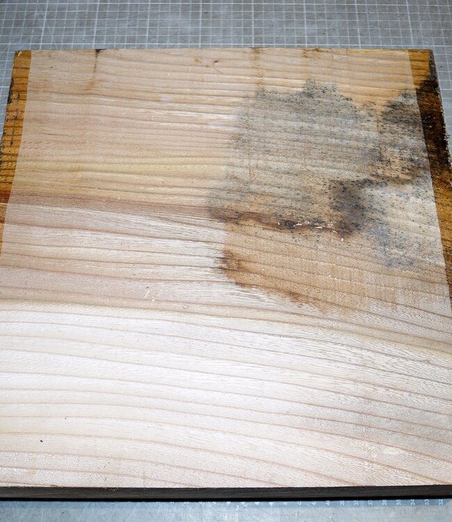 Rüster, ca. 330 x 330 x 79mm, 5,9kg