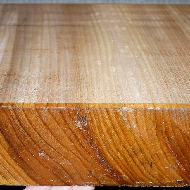 Rüster, ca. 330 x 330 x 79mm, 5,9kg