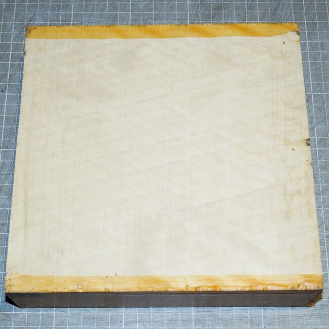 Hainbuche, Riegel, ca. 205 x 205 x 48mm, 1,7kg