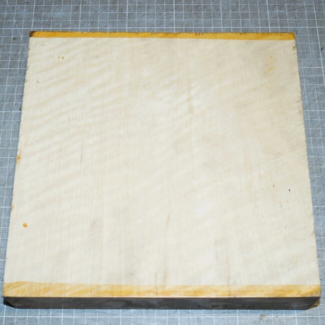 Hainbuche, Riegel, ca. 250 x 250 x 48mm, 2,6kg