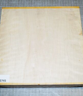 Hainbuche, Riegel, ca. 260 x 260 x 51mm, 2,6kg