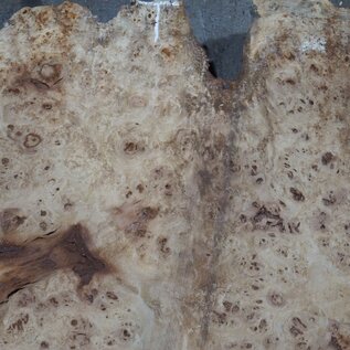 Mappa, poplar burl table top, approx. 1790 x 620/450 x 60 mm, 13561