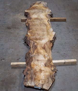 Pappel Maser Tischplatte, ca. 2340 x 600/560/310 x 52 mm, 13563