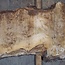 Mappa, poplar burl table top, approx. 2340 x 600/560/310 x 52 mm, 13563