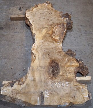 Mappa, poplar burl table top, approx. 1800 x 1050/700/410 x 65 mm, 13565