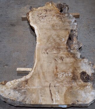 Pappel Maser Tischplatte, ca. 2000 x 1200/460 x 65 mm, 13567