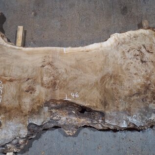 Mappa, poplar burl table top, approx. 2000 x 1200/460 x 65 mm, 13567