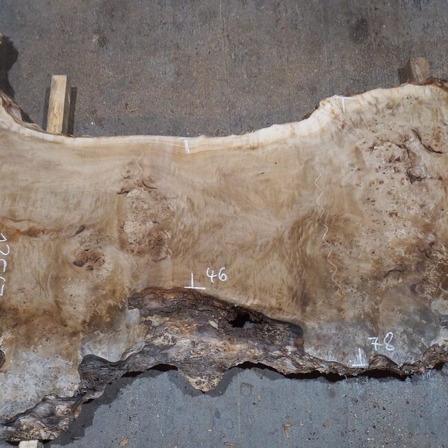 Mappa, poplar burl table top, approx. 2000 x 1200/460 x 65 mm, 13567