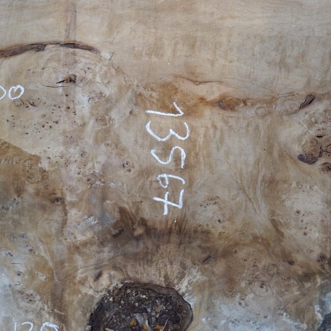 Mappa, poplar burl table top, approx. 2000 x 1200/460 x 65 mm, 13567