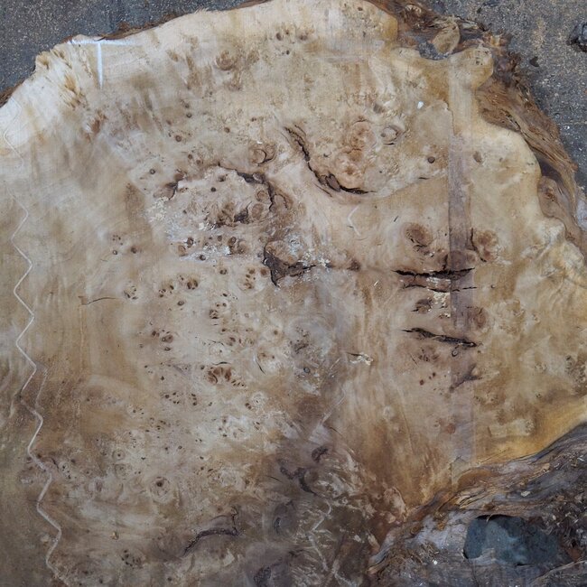 Mappa, poplar burl table top, approx. 2000 x 1200/460 x 65 mm, 13567