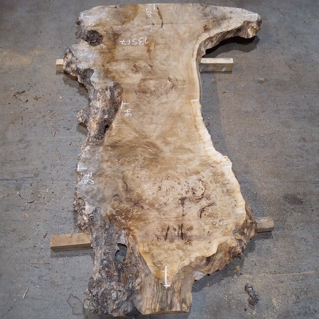 Pappel Maser Tischplatte, ca. 2000 x 1200/460 x 65 mm, 13567