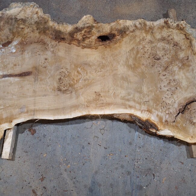 Pappel Maser Tischplatte, ca. 2000 x 1200/460 x 65 mm, 13567