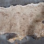 Pappel Maser Tischplatte, ca. 1790 x 720/610 x 65 mm, 13569