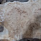 Mappa, poplar burl table top, approx. 1790 x 720/610 x 65 mm, 13569