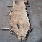 Mappa, poplar burl table top, approx. 1790 x 720/610 x 65 mm, 13569
