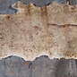 Mappa, poplar burl table top, approx. 1790 x 720/610 x 65 mm, 13569