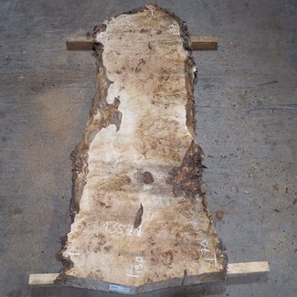 Mappa, poplar burl table top, approx. 1900 x 700/570 x 65 mm, 13571
