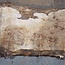 Mappa, poplar burl table top, approx. 1900 x 700/570 x 65 mm, 13571