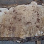 Mappa, poplar burl table top, approx. 1900 x 700/570 x 65 mm, 13571
