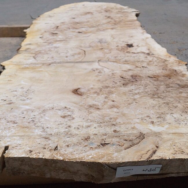 Mappa, poplar burl table top, approx. 1900 x 700/570 x 65 mm, 13571