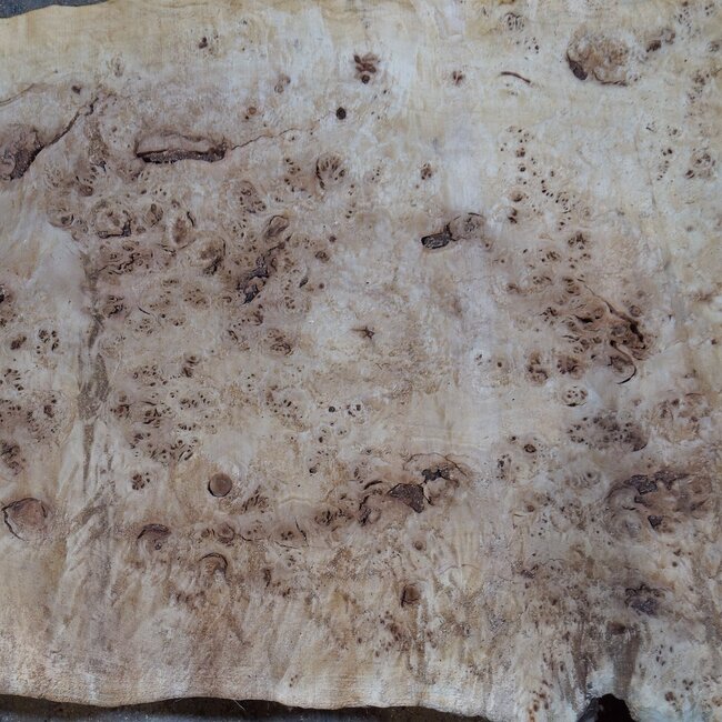 Pappel Maser Tischplatte, ca. 1900 x 700/570 x 65 mm, 13571